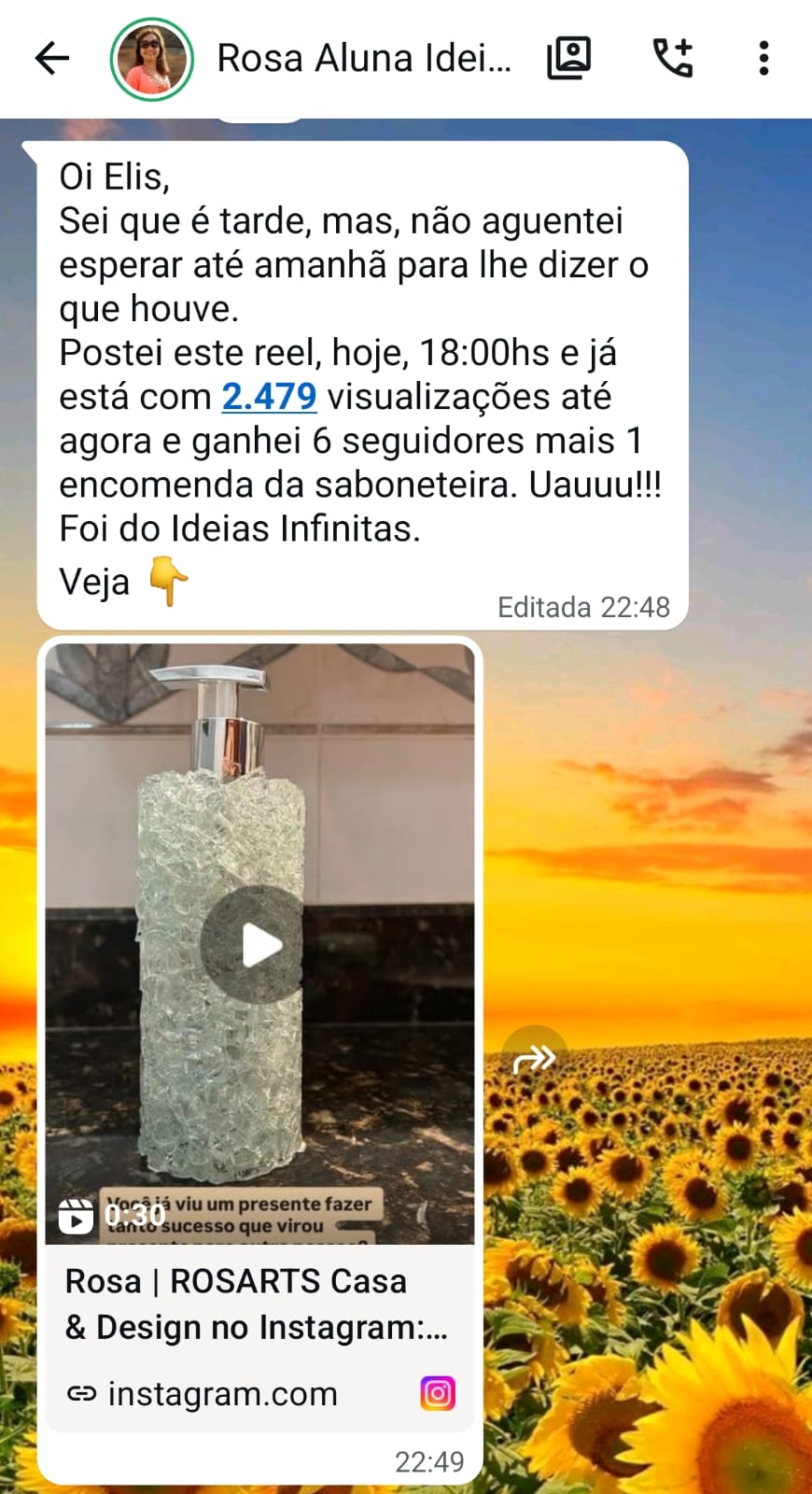 Mensagem da Rosa contando visualizações, seguidores e encomenda